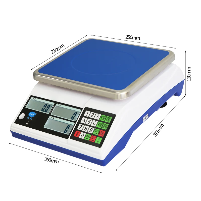 Multi-functional Electronic Balance