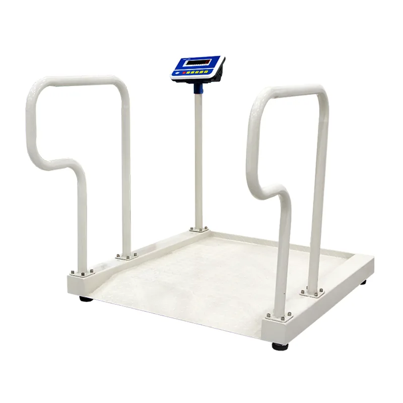 Electronic Weighing Instruments